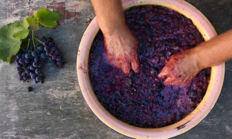 Frozen Grape Concentrate Wine Recipe - Taste of Love Bakery